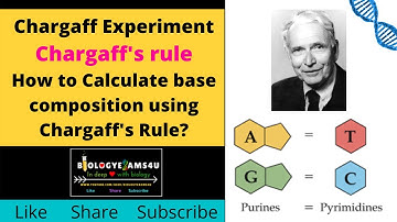 Chargaff Experiment & DNA base pairing Rule||How to Calculate base composition using Chargaffs Rule?