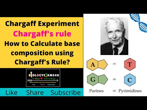 فيديو: ماذا ساهم إروين تشارجاف في اكتشاف الحمض النووي؟