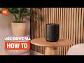 JBL Cove M1 Black video