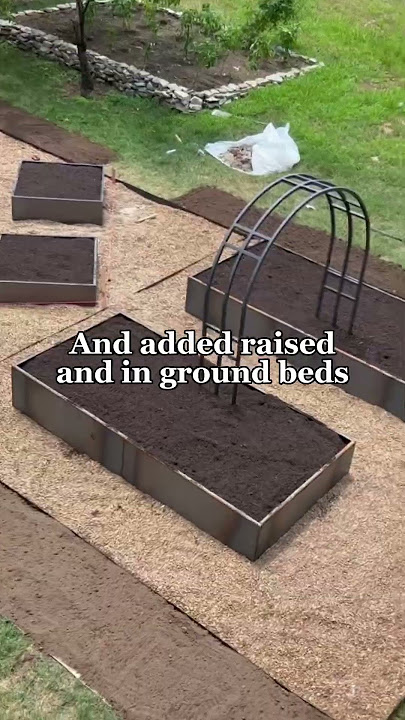 It’s time to get rid of your grass! It wastes space, water, and hurts nature #garden #lawn #grass