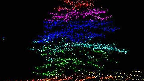 LiDAR point cloud:small trees