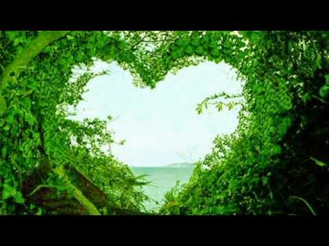 أروع دعاء لمن تحب حين يشاء الله