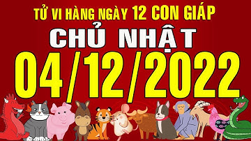Tử vi Phương Đông hàng ngày, Chủ Nhật (04-12-2022) của 12 con giáp, chi tiết, chuẩn xác & đầy đủ.
