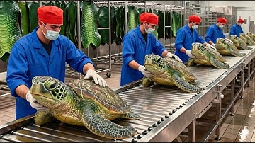 Inside the Turtle Leather Factory — How Giant Turtle Shells Become Luxury Bags (Hidden Process)