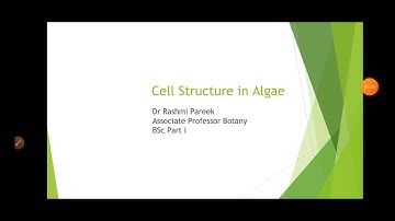 cell structure in algae part 2 ,BSc I year