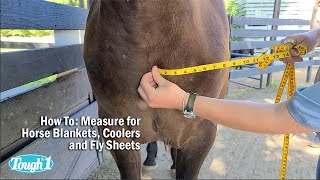 How To: Measure for Horse Blankets, Coolers and Fly Sheets