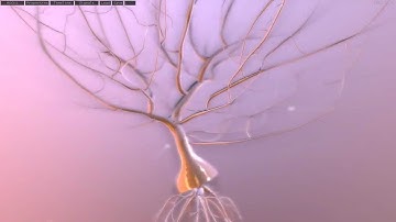 Procedural tree