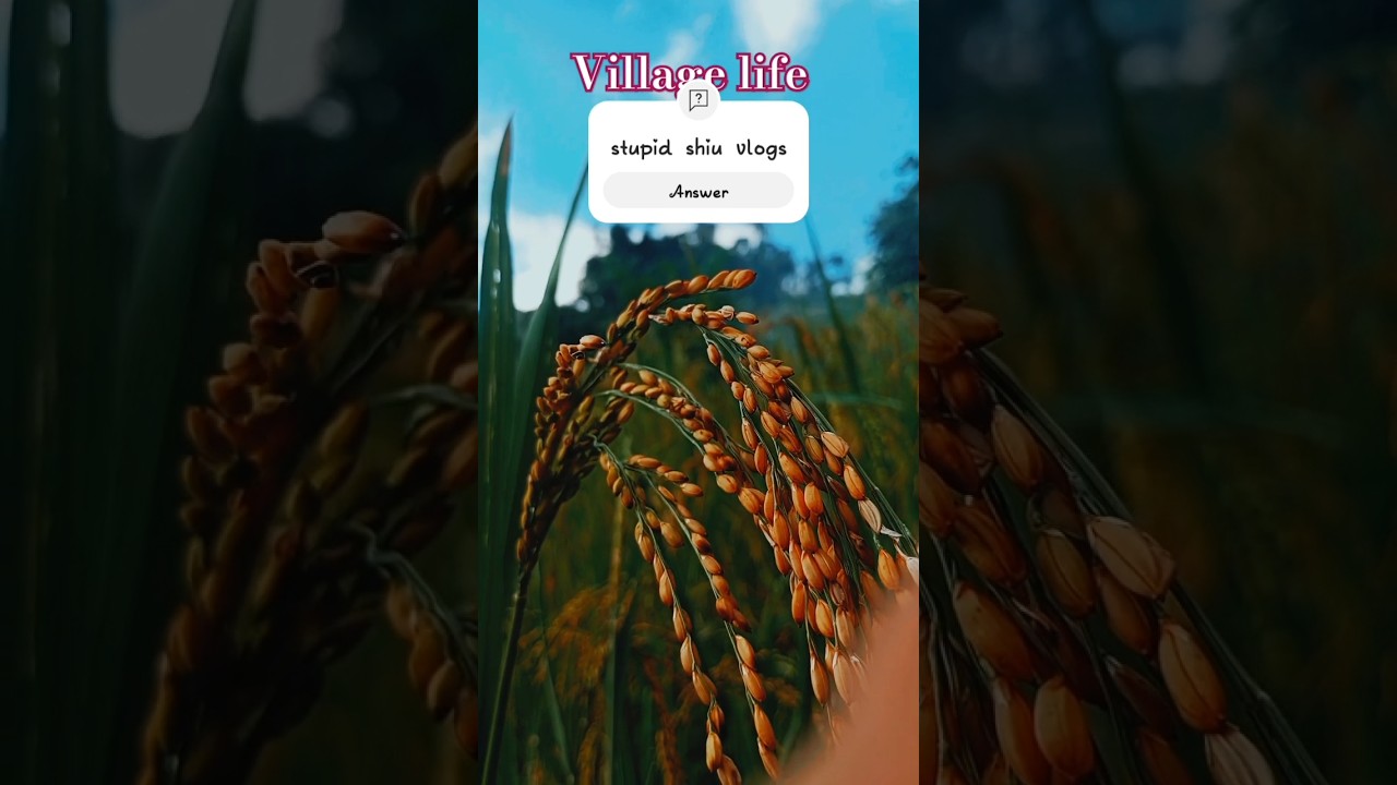 Village life stupid shiu vlogs 