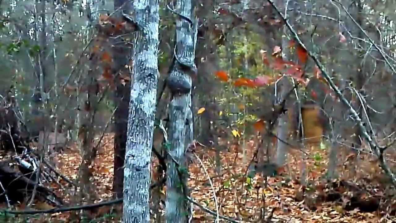 airsoft war, east texas