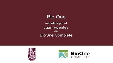 Bio One