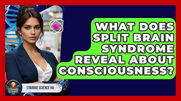 What Does Split Brain Syndrome Reveal About Consciousness? - Strange Science HQ
