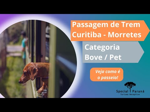 Passagem de Trem Curitiba Morretes: vagão Bove / Pet