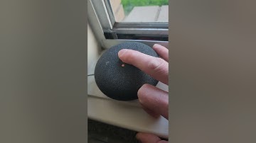 how to factory reset Google nest mini