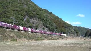 日豊本線 4075レ EF81 453号機 4K20200202 4075 F81453
