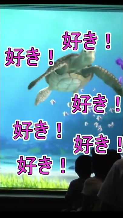 タートルトーク腹筋崩壊