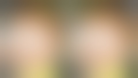 Vulnhub: RICKDICULOUSLYEASY: 1 Walkthrough