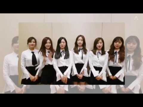 Apink offical Fanclub [Panda]4