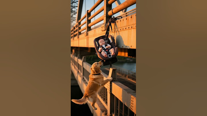 Golden Retriever Saves Baby Hanging From Bridge 🐶👶 #dog  #pets #shorts  #babyshorts