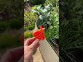 Wir brauchen keine 3D Drucker ✌🏼 Meinte meine Frau! Spätestens bei der Insektentränke hat sie‘s