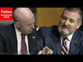 'That Testimony Is False... You Know You're Under Oath': Ted Cruz Accuses Mayorkas Of False Claim