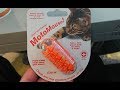 Бенгальскому коту купили новую игрушку. Мотомаус. 猫