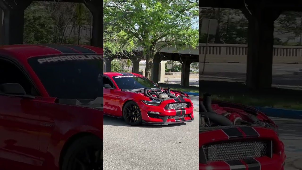 Twin Turbo Shelby GT350 Rolling 🐍