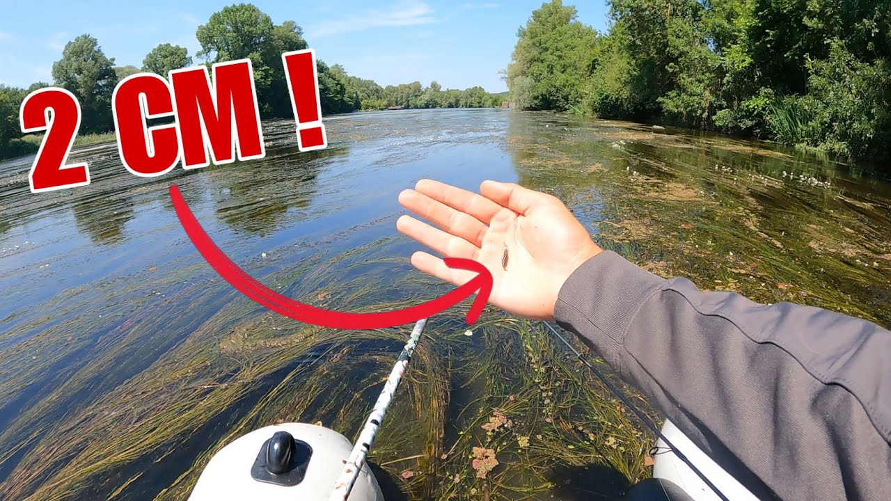 Ce leurre MICROSCOPIQUE sauve ma première compétitions de pêche en FLOAT-TUBE !