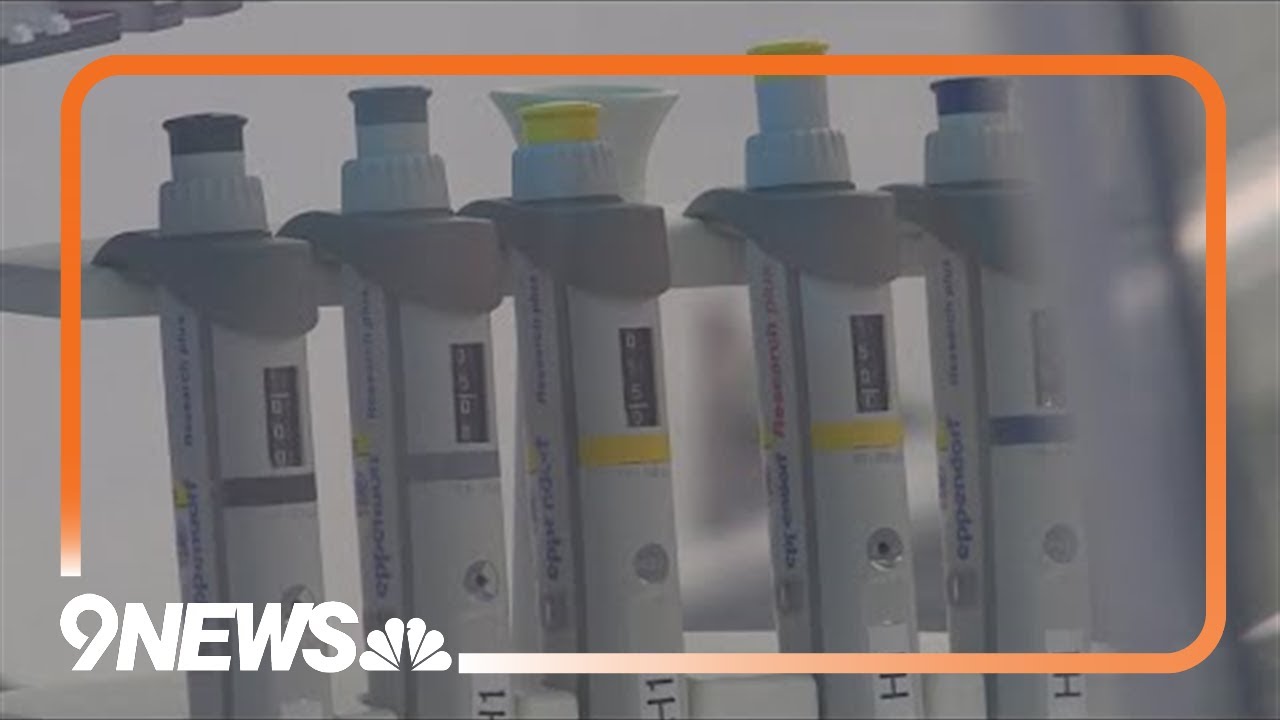 Weld County DA will not charge DNA analyst, says data 'anomalies' did not affect criminal cases