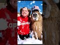 Rumi Framed Emma &amp; Capybara… But the Soap Seller Exposed Everything #capybara #rumi