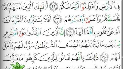مصحف التجويد صفحة 509 إبراهيم الأخضر 🕋🕋