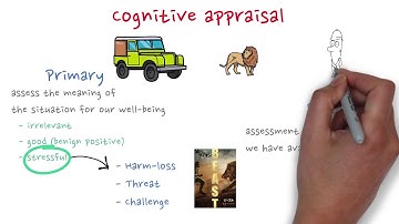 Cognitive appraisal: Transactional model of stress