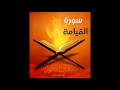 الشيخ امين زيدان سورة القيامة 