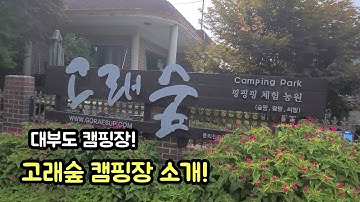 [캠핑장소개] 대부도 고래숲 캠핑장 소개