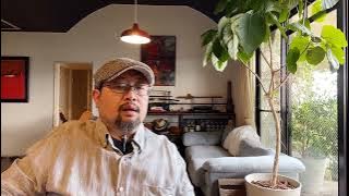 一个粉红的“化蛹成蝇”之路:聊两句沈彤老师回国后大转向的事儿