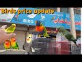 Birds price in 2022 | All Birds prices in Pakistan | Parrots price in September