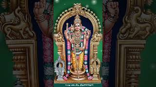 வந்த வினையும் வருகின்ற | Murugan Songs Tamil | முருகன் பக்தி பாடல்கள்