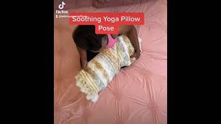 Soothing Yoga Pillow Pose Childs Pose