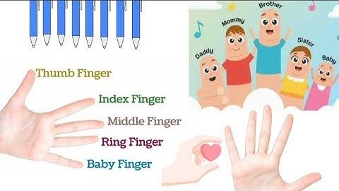 Learn the Names of Fingers with 3D Animation |Finger Song | Preschool Learning Video for Kids |#kids