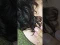 Asmr long hair video #relaxing #massage #therapy #satisfying #odlysatisfying #shorts #video