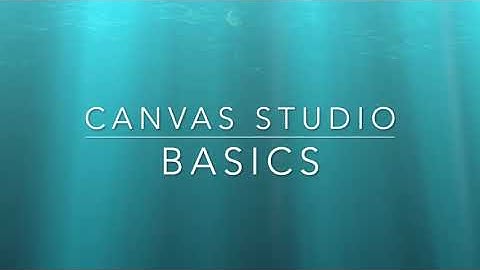 Canvas Studio   Basics getting started