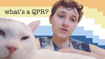 What is a QPR? the openness of queer platonic relationships