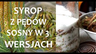 Syrop z pędów sosny - przepis w 3 wersjach (Małe, duże, obrane) ZŻ84