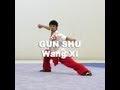 Championnat de Chine 2013 de KungFu Wushu - Gun Shu - Wang Xi (Beijing)
