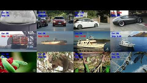 the result of predicting for 12 videos(pytorch)