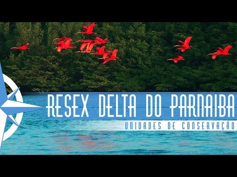 Reserva Extrativista Delta do Parnaíba - Episódio 45