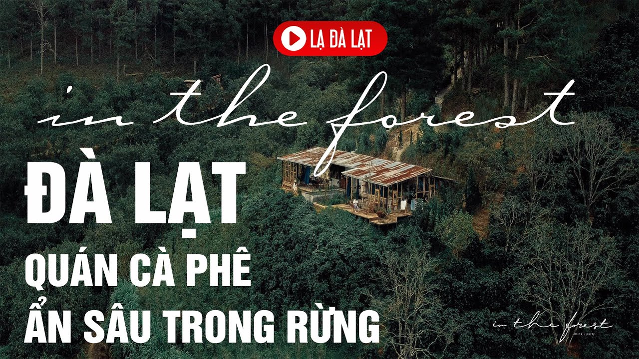 Quán cà phê ẩn sâu trong rừng Đà Lạt - In The Forest Đà Lạt | Lạ Đà Lạt - Ladalat LẠ - LAVANY - LA
