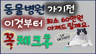 [ 사람보다 거의 100배나 되는 반려동물 병원 치료비 ]  어떻게 감당하시나요?