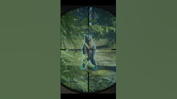 My first DIAMOND Grizzly ever! | TheHunter: Call of the Wild