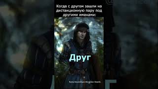 Когда с другом зашли на дистанционную пару под другими именами | Ведьмак 3 Дикая Охота