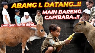Download Lagu ABANG L DATENG PAKE BAJU SAFARI.. BERANI PEGANG SEMUA HEWAN DEHAKIMS..!! MP3